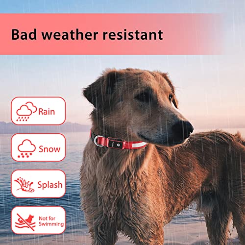 Light up Dog Collar (Red / M(15 inch-19.7 inch))