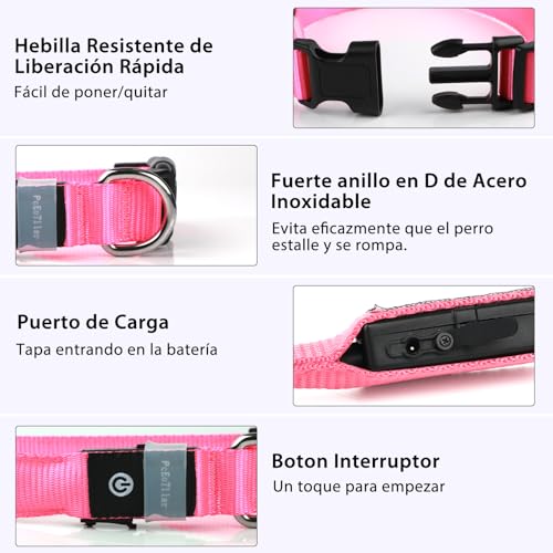Light up Dog Collar (Pink / S(11 inch-15.7 inch))