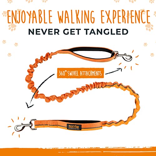 Hands Free Dog Leash (48" / Orange)