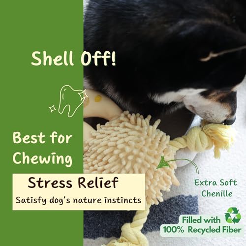 Interactive Dog Toys (Turtle)