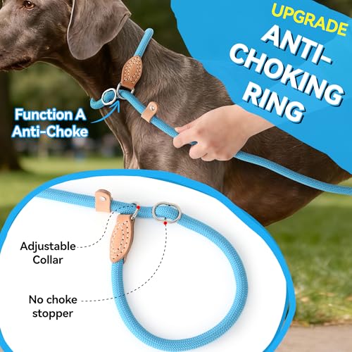 Heavy Duty Slip Lead No Pull Leash 6 (Blue / 4 Feet)