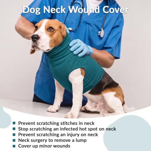 Dog Neck Wound Cover (Turquoise / 2XL(Chest: 31.1"))