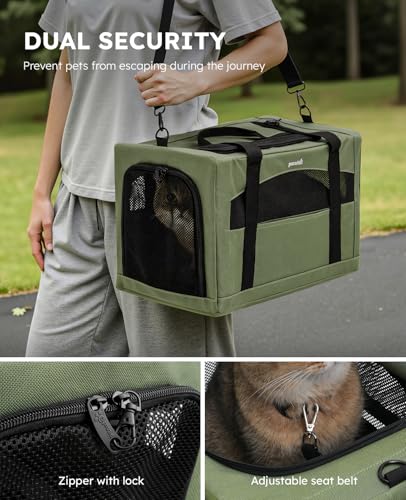 Cat Carrier Stable (Green Regular / 16.9"L x 11.0"W x 11.0"H)