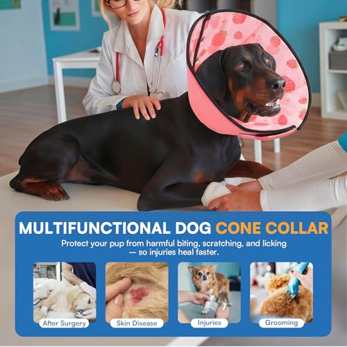 Dog Cones for Medium Dogs (M / Strawberry)