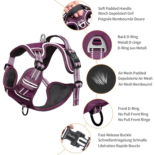Dog Harness for Small Dogs No Pull Dog Vest Harness for Small Dog with Soft Padded Handle Reflective for Outdoor Training (S / Purple(Matching Trim))