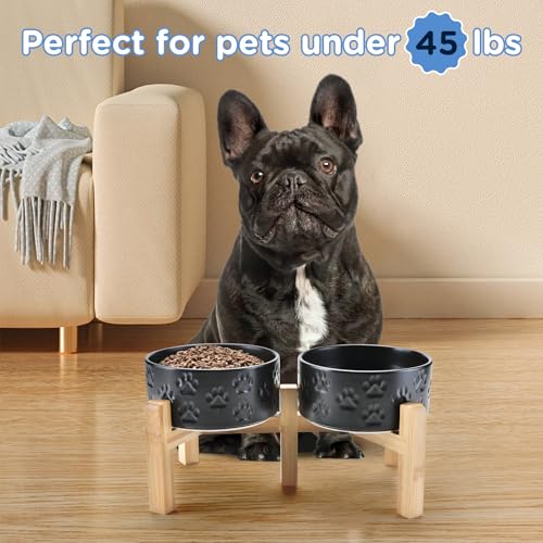 Elevated Dog Bowls Ceramic (6.1 in - 3.6 cups / Paw Black)