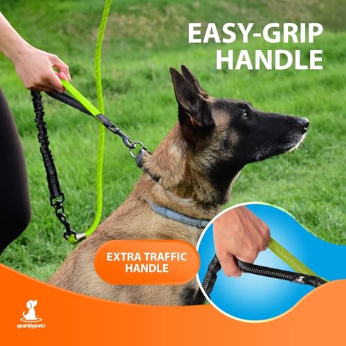 Heavy Duty Bungee Rope Leash (Green)