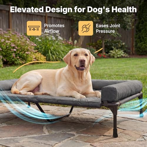 Outdoor Elevated Dog Bed with Waterproof Bolster Cushion (Black Silver / 53.0"L x 37.5"W x 9.0"Th)