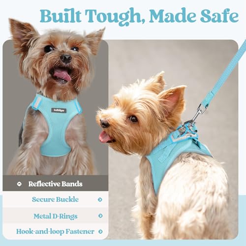Dog Harness Small Sized and Leash Set (Mint Blue / Xs (chest: 13.3 - 15.5"))
