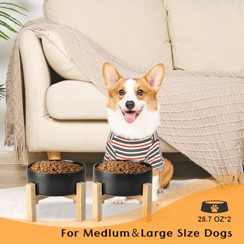Ceramic Elevated Dog Bowls 2 Pack (Medium - 3.6 CUPS*2 / Black)