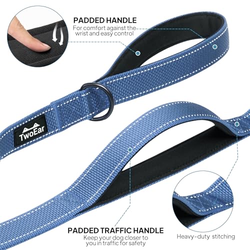 6FT 1IN Heavy Duty Dog Leash for Large Dogs with 2 Padded Handles (Ultramarine / 1 in x 6 ft)