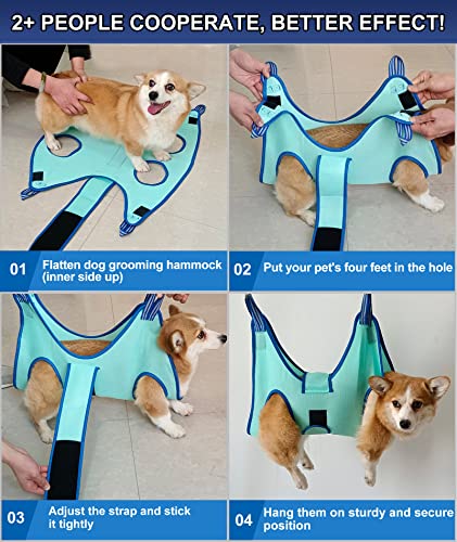 Dog Grooming Hammock (XX-Small 7 LB Max/Turquoise)