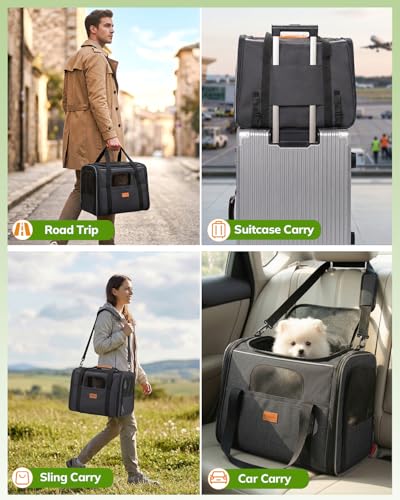 Cat Carrier Soft for Large Medium Cats and Puppy up to 20lbs (Dark Gray / 17.3"L x 12.2"W x 13.4"H)