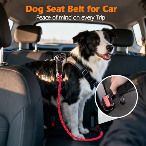 Dog Seat Belt for Car (Red / 1 Pack)