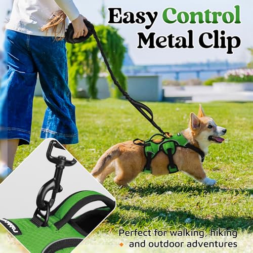 Escape Proof Dog Harness for Small (Green / Small)