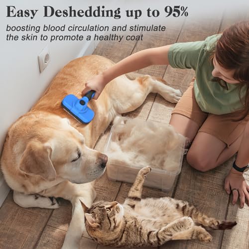 Self Cleaning Slicker Brush (Blue)