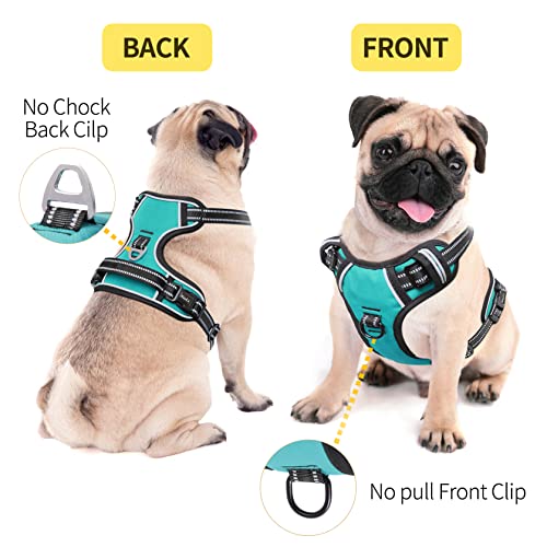 Dog Harness Dog Harness Small Dog No Pull Harness wiht Soft Handle Reflective Harness Adjustable (S / Turquoise)