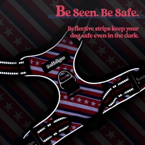 Dog Harness No Pull for Large Dogs with 2 Leash Clips (Large / Red Stripe)