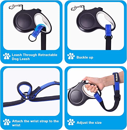 2 Packs Short Dog Leash (Blue, Blue / Short - 2 Packs)