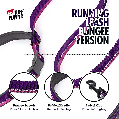 Hands Free Bungee Dog Leash (Punch Purple)