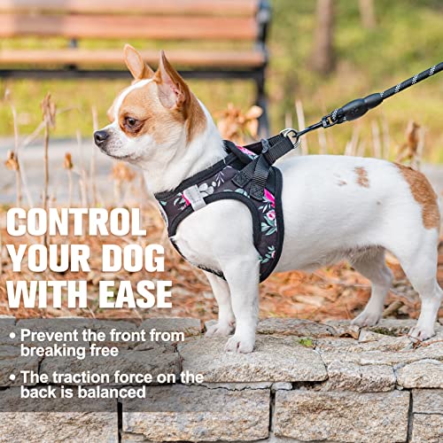 Small Dog Harness and Leash Set (XX-Small(Chest Girth 11.5"-13") / Black Rose)