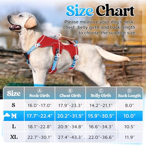 Escape Proof Dog Harness for Medium (Sky Blue & Red / Medium)
