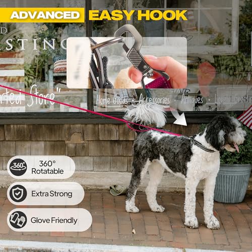 10 FT Heavy Duty Dog Leash (10 Feet (Pack of 1) / Rose)