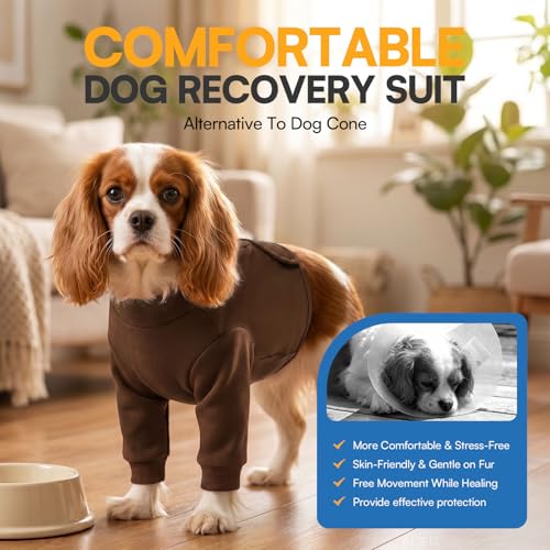 Dog Surgery Recovery Sleeve for Front Leg (X-Large / Brown)