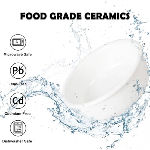 Ceramic Elevated Dog Bowl Set (Matte White / S × 2)