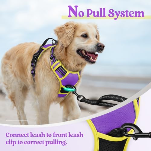 Dog Harness No Pull for Large Dogs with 2 Leash Clips (X-Large / Purple & Yellow)