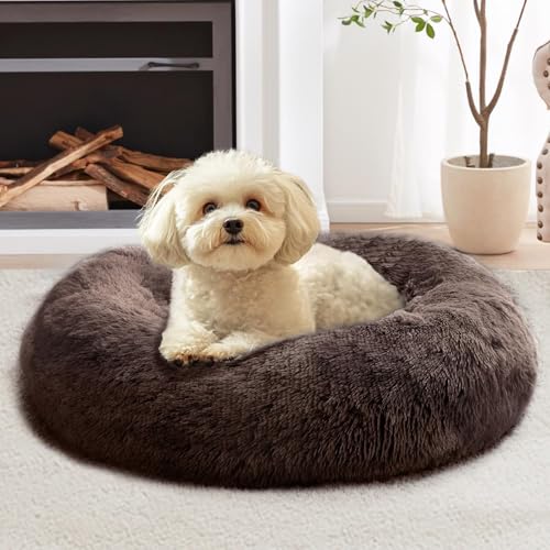 Calming Dog Bed for Small Dogs (Chocolate / 23.0"L x 23.0"W x 8.0"Th)