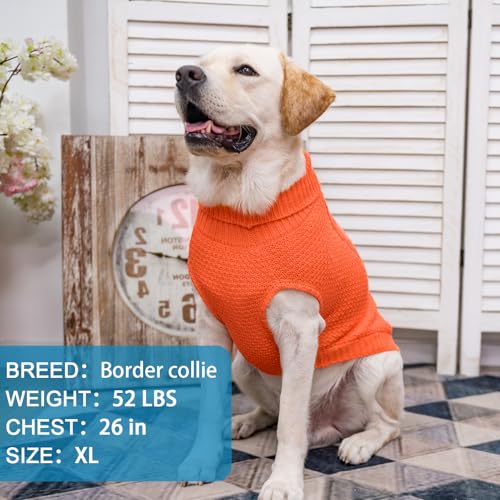 Turtleneck Dog Sweater (Medium/Large / Orange)