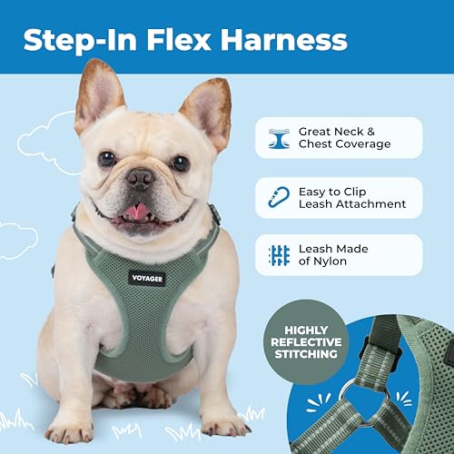 Voyager Step in Flex Adjustable Dog Harness (Harness (Moss Green) / L)