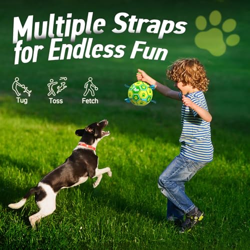 Dog Toys Soccer Ball (Yellow Green / 8 Inch)