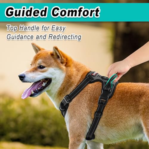 Dog Harness for Large Dog No Pull 2 Leash Clips Dog Vest (X-Large / Dark Grey)