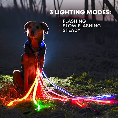 LED Light Up Dog Leash (4 Feet / Bright Orange)