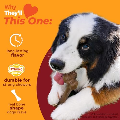 Strong Chew Femur Bone Dog Toy (Femur Bone / Large)