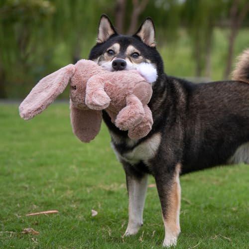 Bunny Buddy Squeaky Plush Dog Toy (Bunny (Mauve) / Small)