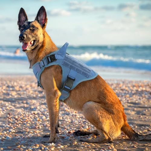 Tactical Dog Harness for Medium (Blue / Medium)