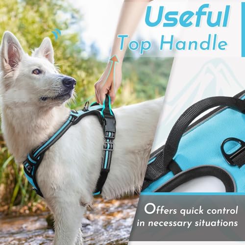 Dog Harness for Small Dogs (Small / Sky Blue)