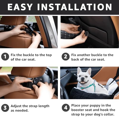 Dog Car Seat for Small Dogs