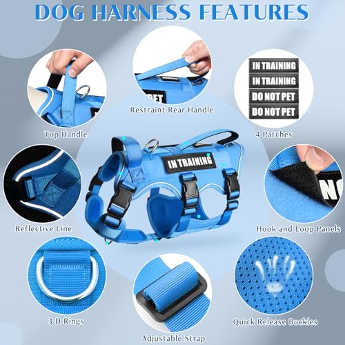 Escape Proof Dog Harness with Double Handle+4 Removable Patches (X-Large / Blue)