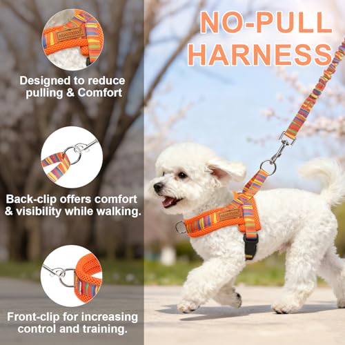 Small Dog Harness and Leash Set (Mix Orange / XS: Chest 15"-18")
