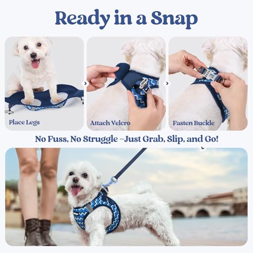 Dog Harness Medium Sized and Leash Set (Blue Zigzag / M (chest: 16 - 18.5"))