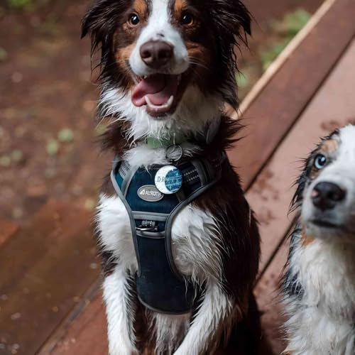 Tactical Dog Harness Medium Sized Dog No Pull Adjustable Dog Vest (Denim Blue / M(Neck:16-22",Chest:22-33"),35-50 lbs)