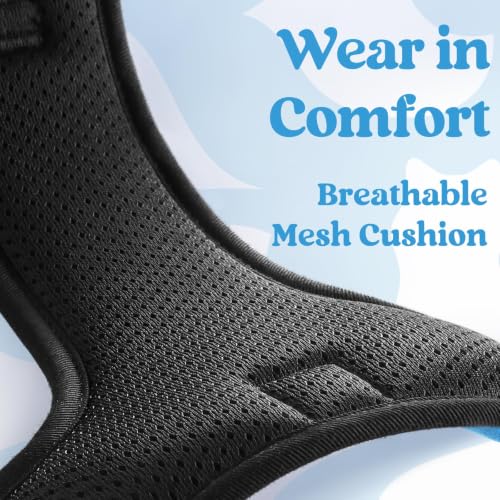 Dog Harness Small Sized (Small / Sky Blue)