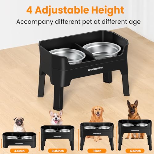 Elevated Dog Bowls (Black / Large)