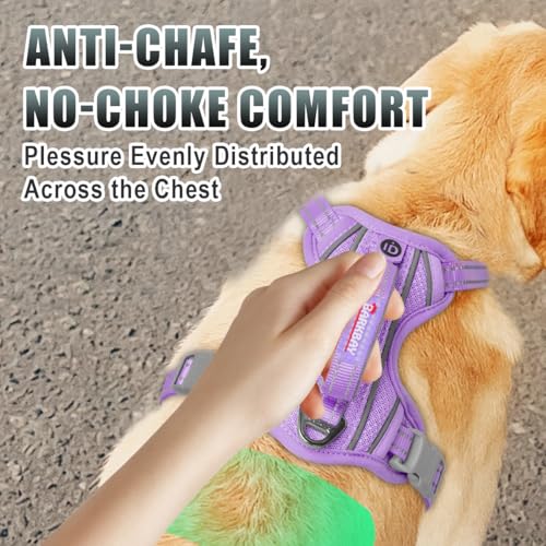 Dog Harness for Medium Sized Dog No Pull Dog Vest ID Tag Pocket (Violet Purple / Medium)
