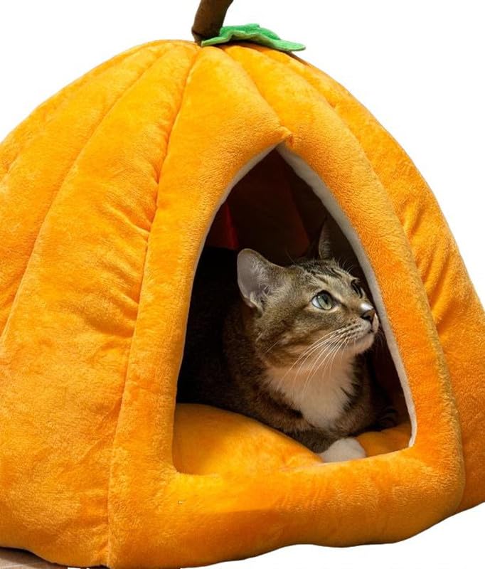 Cat Beds for Indoor Cats (Blue-01 / 18 in)