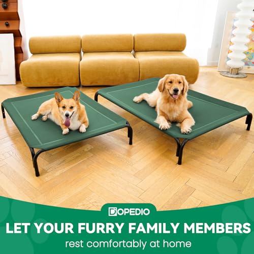 Elevated Dog Bed Outdoor Cooling Raised Cot for XL Dogs (XXL-53.9"L×35.8"W×7.9"Th / Green)